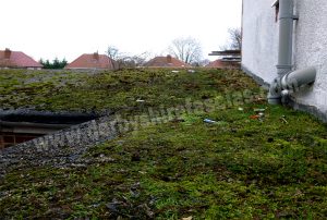 old and tired flat felted roof